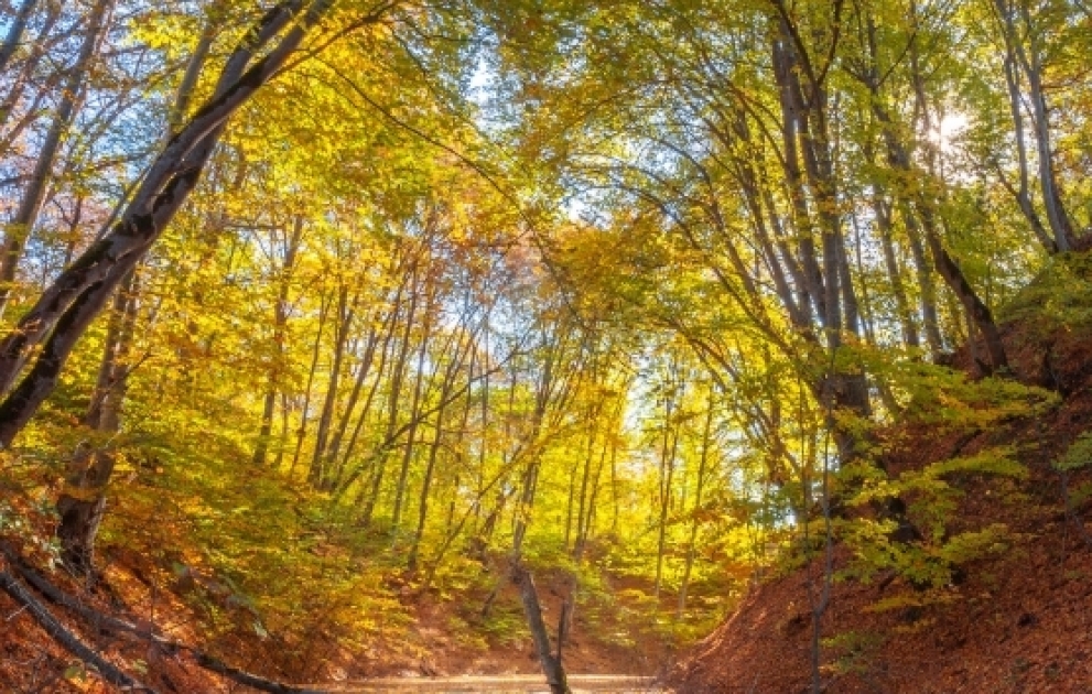Autumn colors of Gusar in pictures
