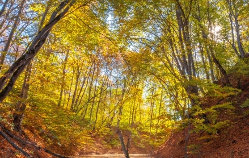 Märchenhafte Herbstlandschaft der Nordregion von Aserbaidschan in Fotos