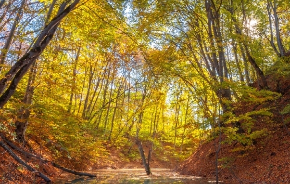 La région de Goussar et ses paysages d'automne