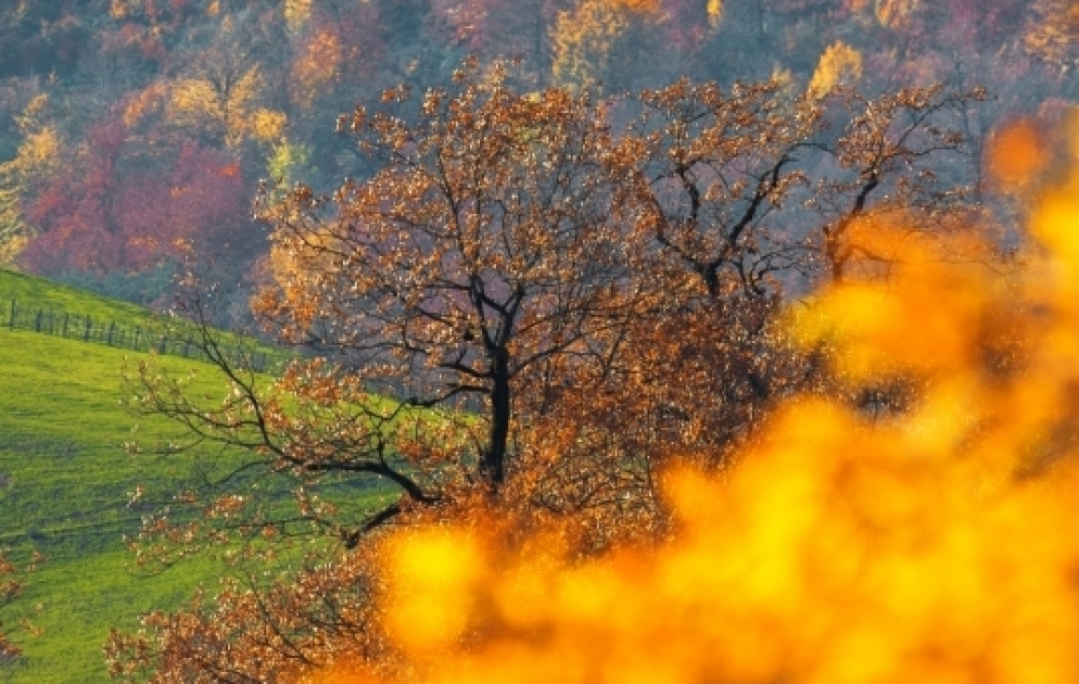 Herbstschönheit südlicher Gebiete des Landes in Fotos