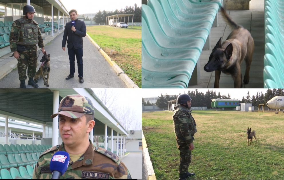 FHN-in kinoloqları işğaldan azad olunmuş ərazilərdə minaların təmizlənməsi işinə xüsusi təlim keçmiş minaaxtaran itlərlə qoşulur