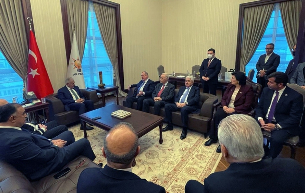 Azərbaycan Ağsaqqallar Şurası ilə Türk Dövlətləri Təşkilatı Ağsaqqallar Şurası arasında əməkdaşlıq məsələləri müzakirə olunub