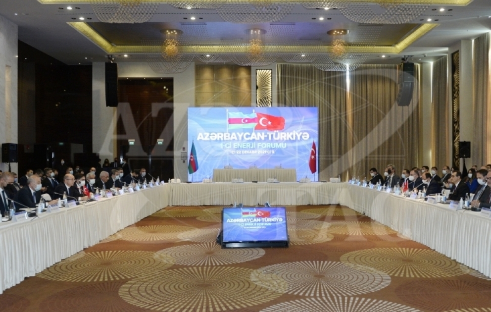 Bakıda Azərbaycan-Türkiyə 1-ci Enerji Forumu keçirilib