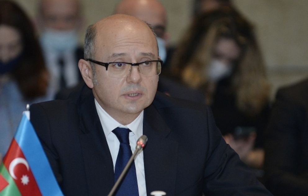 Парвиз Шахбазов: 5,1 млрд кубометров природного газа, транспортированного в Турцию за 11 месяцев, пришлось на долю TANAP