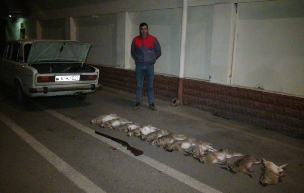 İmişlidə qanunsuz ov edən şəxs saxlanılıb