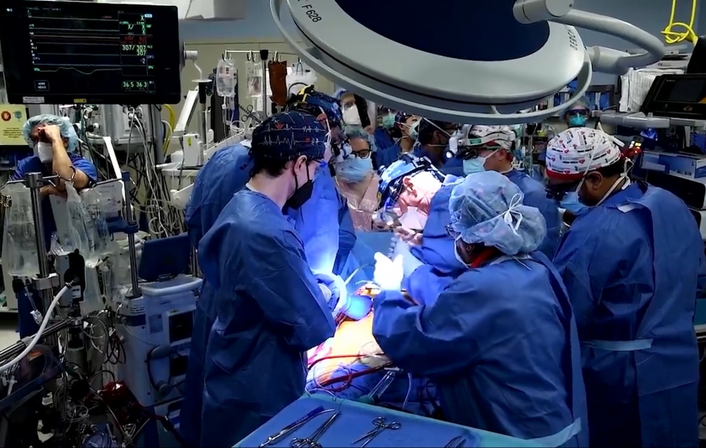 Surgeons perform first successful transplant of pig heart to human patient