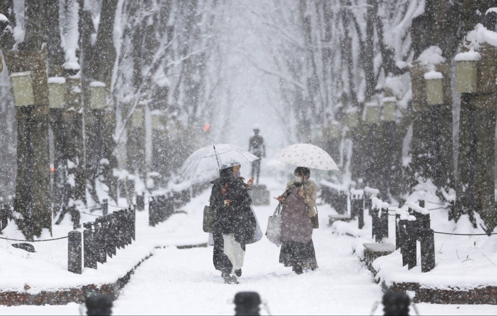 25 Zentimeter Neuschnee in 3 Stunden - Unwetterwarnung in Nagano