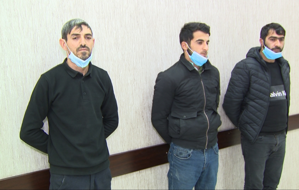 Abşeron, Salyan və Kürdəmirdə 50-dən artıq xırdabuynuzlu heyvan oğurlayan 3 nəfər saxlanılıb