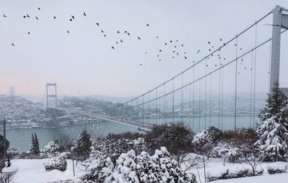 Türkiyədə yağan güclü qar çox sayda fəsadlar törədib
