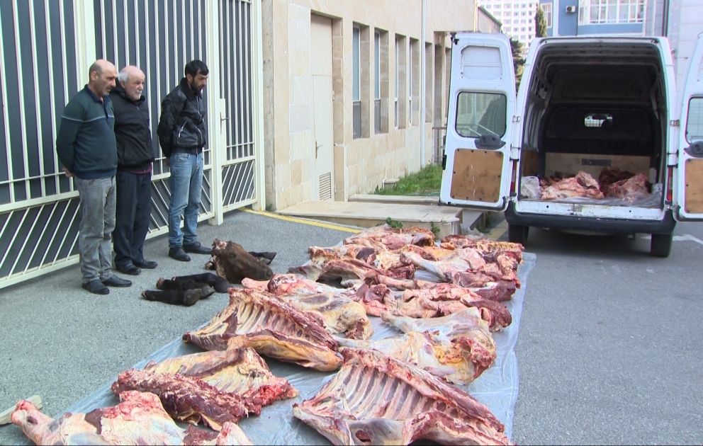 İstifadəyə yararsız 4 ton at və mal ətinin satışını həyata keçirən mütəşəkkil dəstənin üzvləri tutulublar
