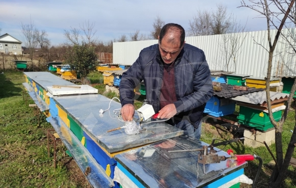 Lənkəranlı arıçı gənəyə qarşı yeni qurğu düzəldib