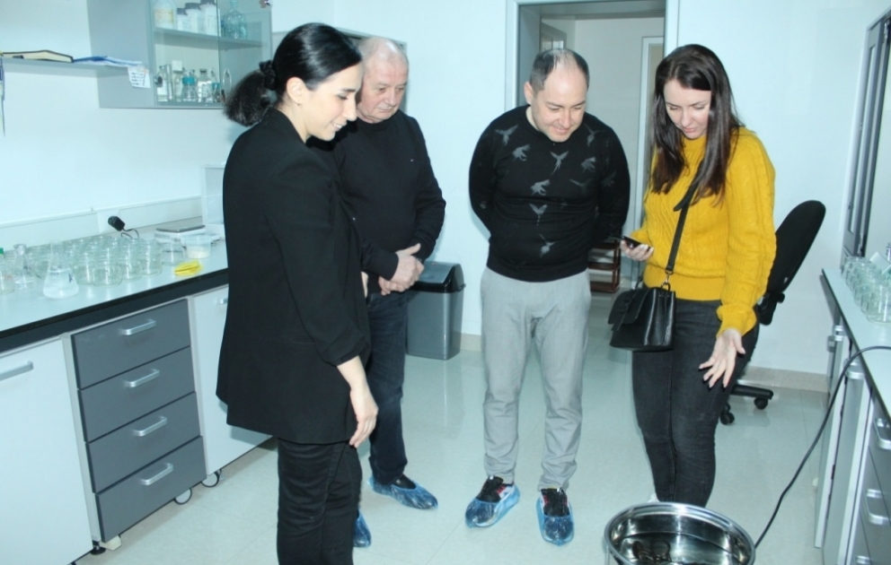 Ukraynalı mütəxəssislər Meyvəçilik və Çayçılıq Elmi-Tədqiqat İnstitutunun fəaliyyəti ilə tanış olublar