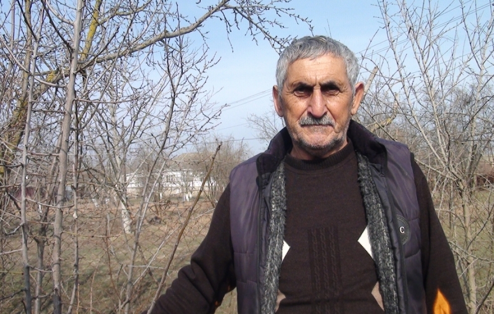 Salyanın bağlarında budama işləri yekunlaşmaq üzrədir