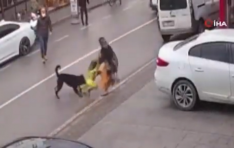 Üzərinə it hücum elədi, həyacandan uşağı əlindən saldı
