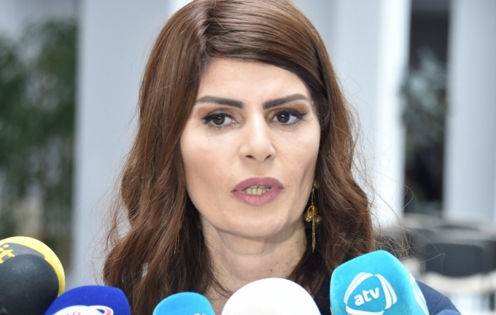 Dövlət Dil Komissiyası yanında Monitorinq Mərkəzinin direktoru cərimələrlə bağlı məsələyə aydınlıq gətirib