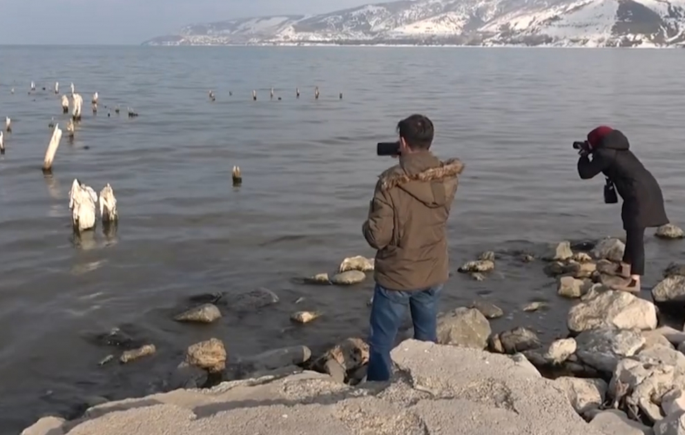Van gölündə körpü aşkarlanıb