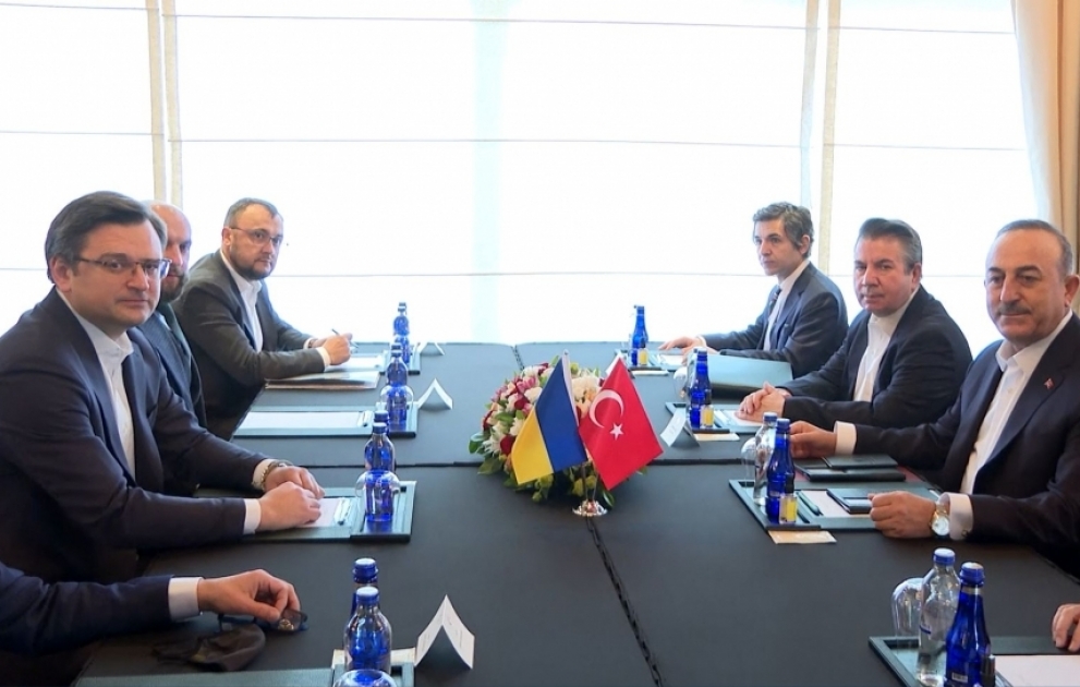 Antalyada Türkiyə və Ukraynanın xarici işlər nazirləri arasında görüş olub