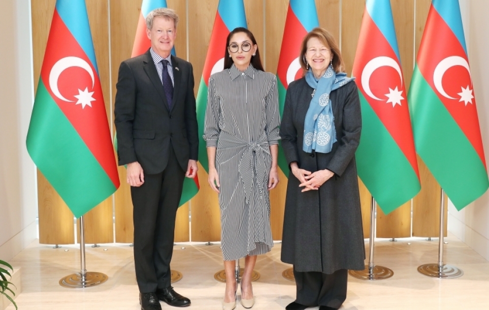 Birinci vitse-prezident Mehriban Əliyeva Böyük Britaniya Baş nazirinin Azərbaycan üzrə ticarət elçisi ilə görüşüb