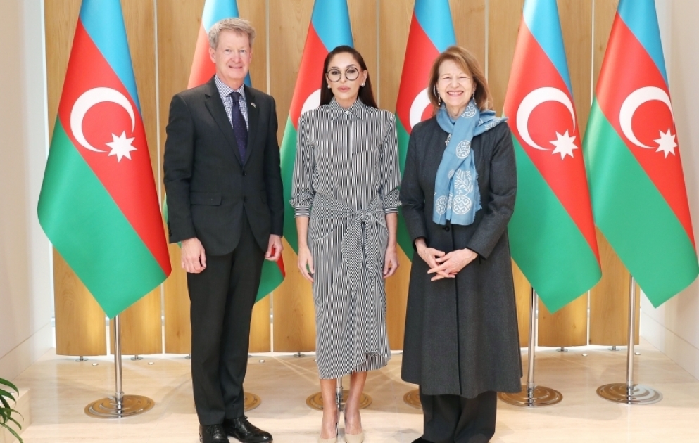 Erste Vizepräsidentin Mehriban Aliyeva trifft Handelsbeauftragte des britischen Premierministers für Aserbaidschan