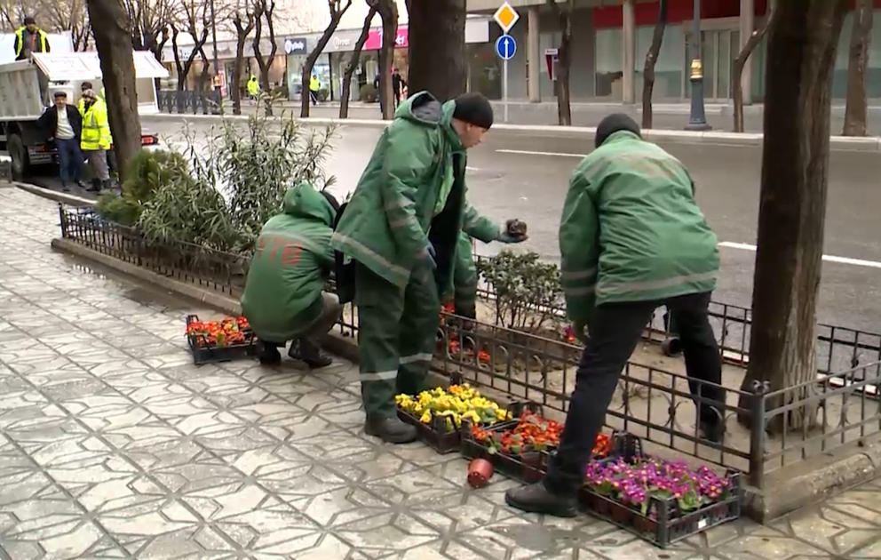 Bakı şəhərində genişmiqyaslı təmizlik və abadlıq işləri həyata keçirilir