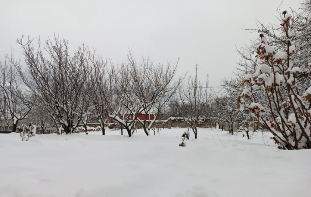 Şimal bölgəsində hava durumu: 20 santimetr qar, mənfi 10 dərəcə temperatur