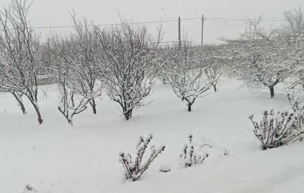 Şimal bölgəsində ən çox qar Xızının Altıağac qəsəbəsinə yağıb