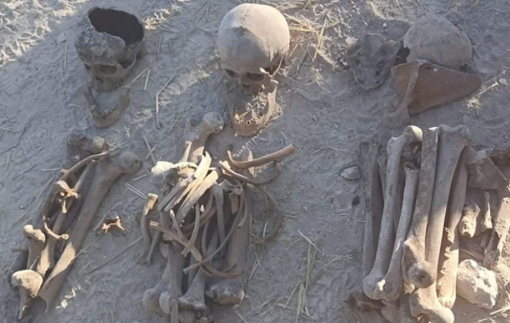 Xocalı rayonunun Fərrux kəndində insan skeletləri aşkarlanıb
