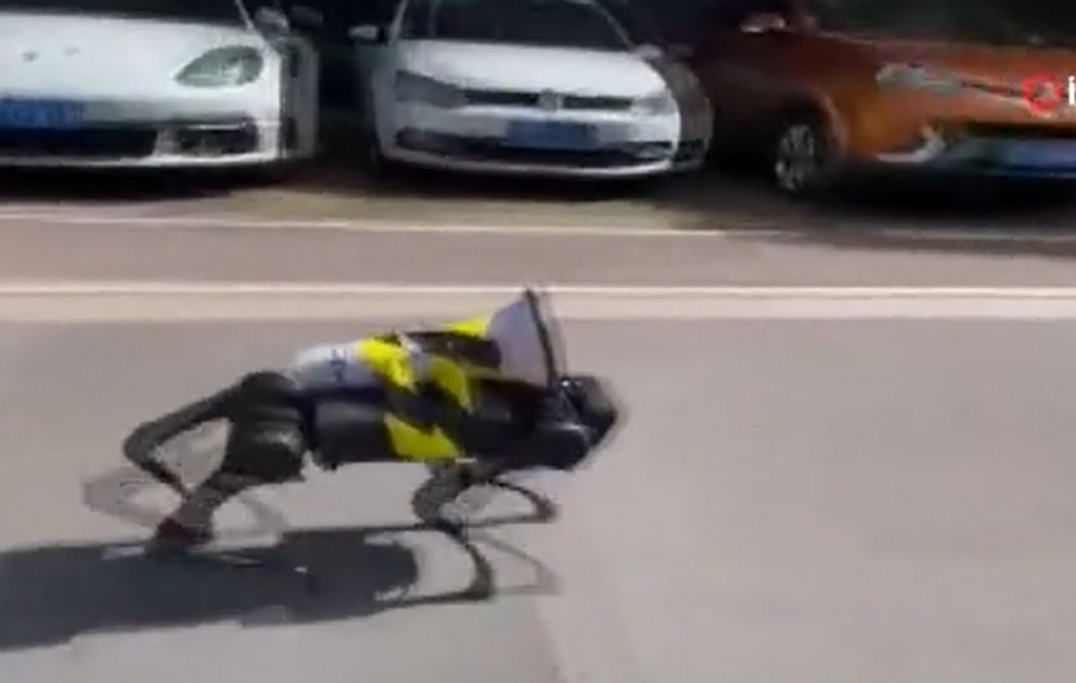 Çində küçələrdə dolaşan robot it gündəm olub