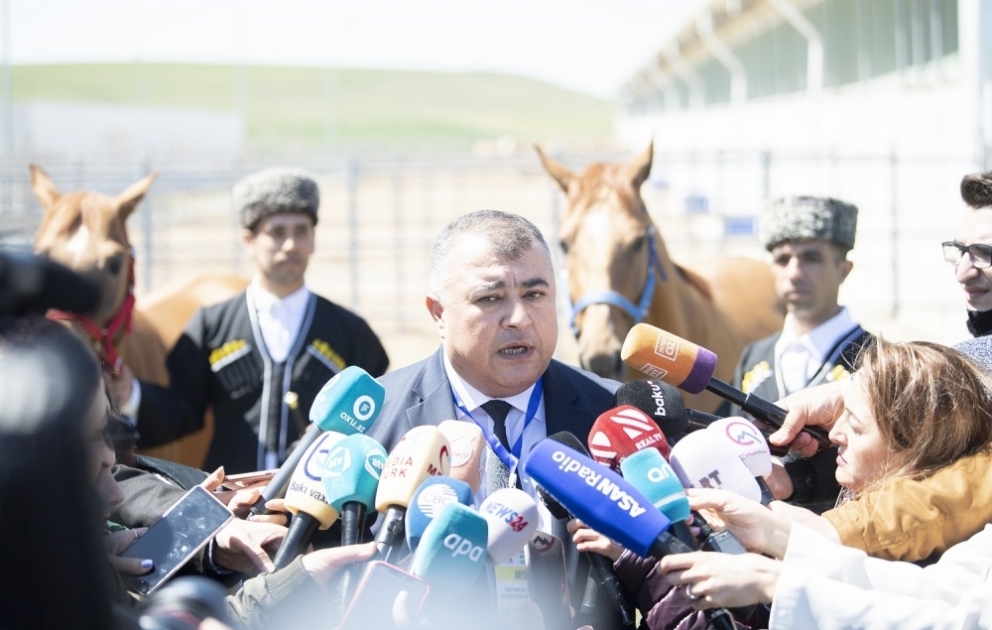 Gələcəkdə Azərbaycanda Dilboz atlarının hərrac vasitəsilə satışı nəzərdə tutulur
