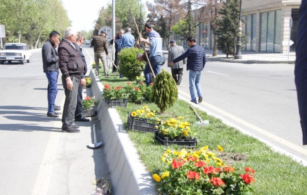 Yevlaxda ümumşəhər iməciliyi keçirilib