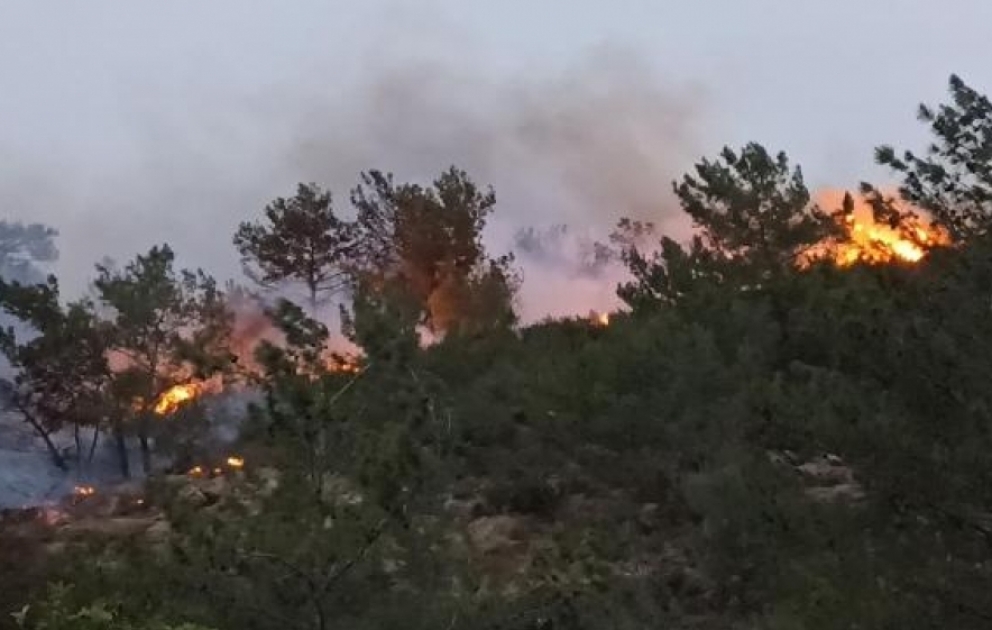 Bodrumda meşə yanğınları baş verib