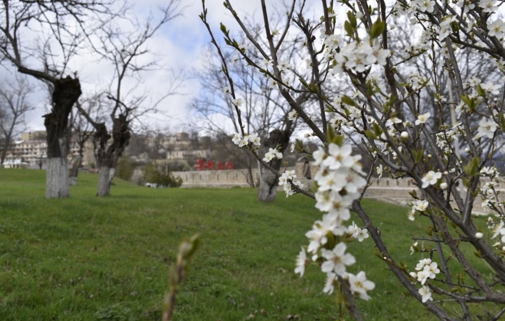 Bahar Şuşaya bir başqa növraqda gəlir