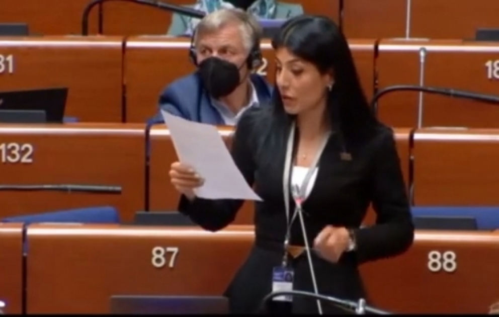 Nigar Arpadarai: Ermənilər məkrli niyyətlərinə son qoymalıdırlar