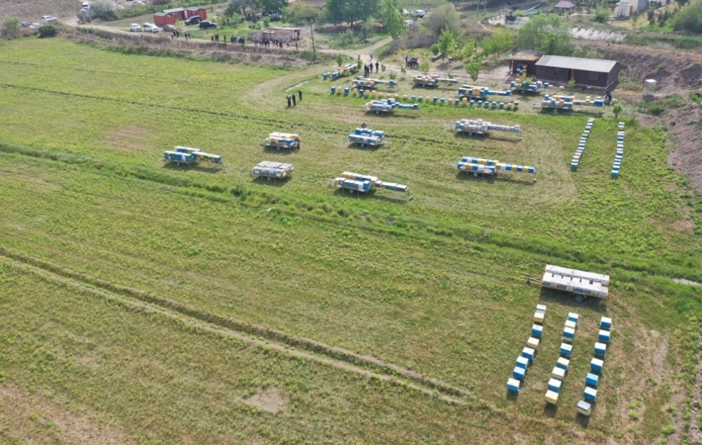 Arıçılıq təsərrüfatlarının Qubadlı yaylaqlarına köçü başlayıb