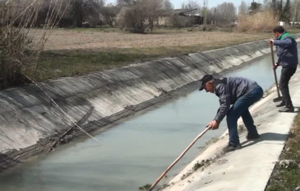 Ucarda meliorativ tədbirlər uğurla davam edir, suvarma mütəşəkkil aparılır