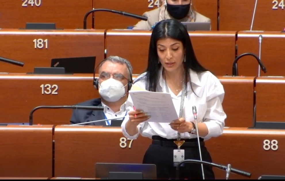 Nigar Arpadarai: Separatizm və ərazi iddiaları son onilliklərdə qitəmizin təhlükəsizlik sisteminə ən böyük təhdidlərdir