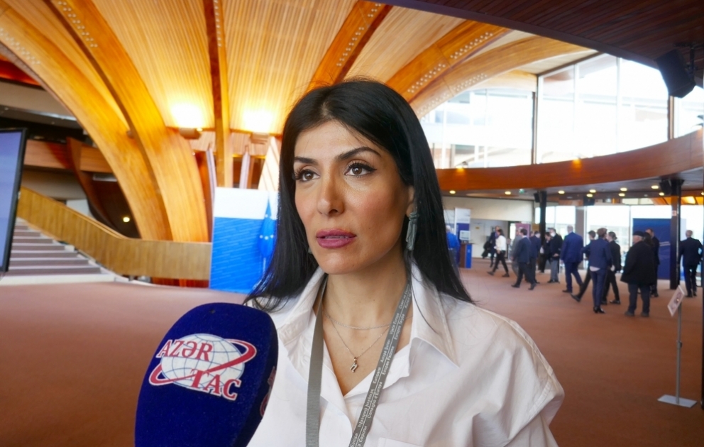 Nigar Arpadarai: Avropa məkanındakı bütün təsisatların islahata ehtiyacı var