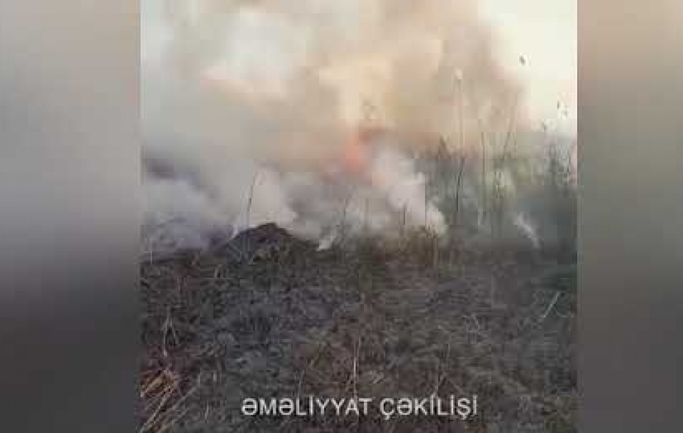 МЧС распространило оперативные кадры