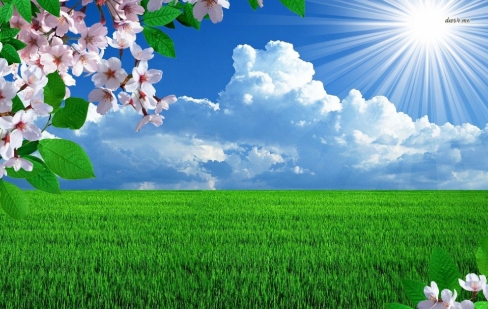 Sabah bəzi bölgələrdə havanın temperaturu 36 dərəcəyə yüksələcək