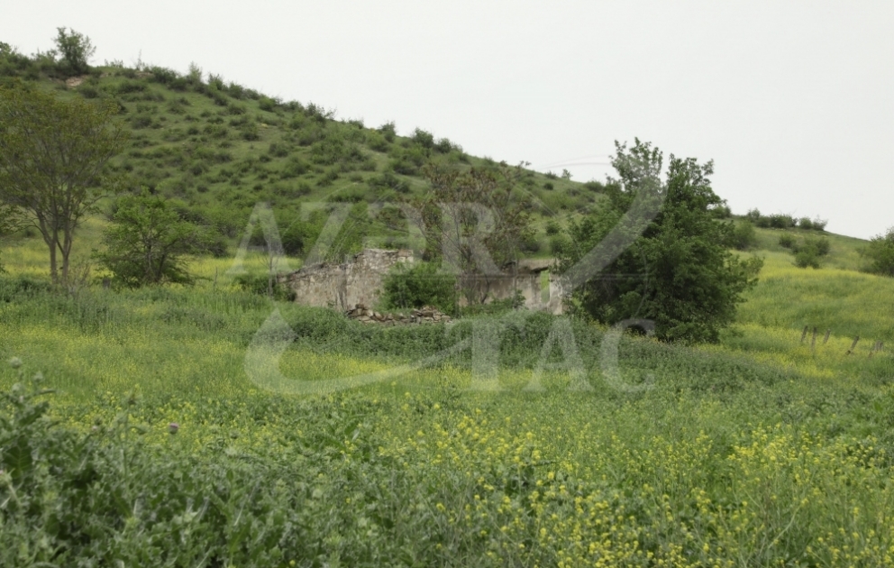 Zəngilan rayonunun Aşağı Yeməzli kəndi