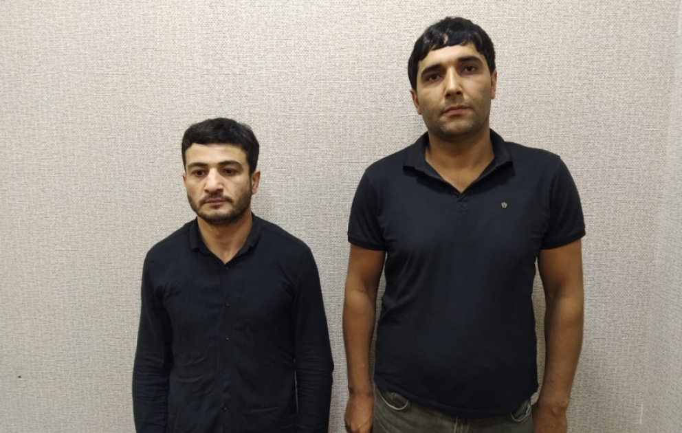 Xaçmazda meşədə 1233 ədəd çətənə bitkisi və marixuana aşkarlanıb