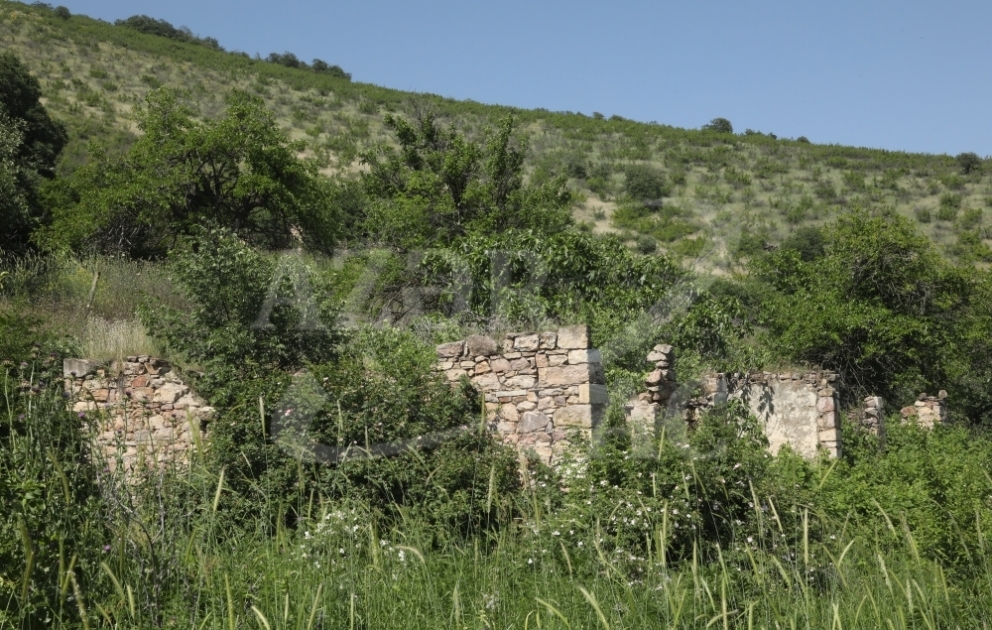 Qubadlı rayonunun Saldaş kəndi