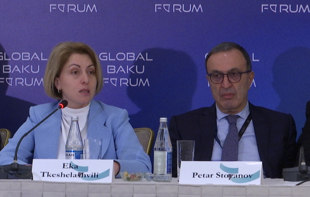Eka Tkeşelaşvili: Gürcüstan və Azərbaycan münaqişə ilə üzləşmiş ölkələrdir