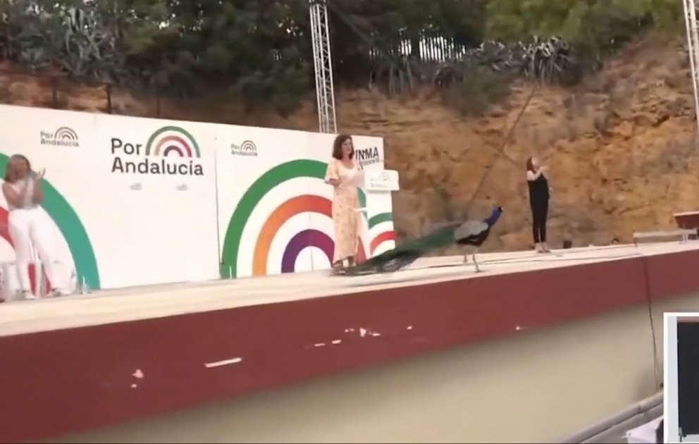 Seçki kampaniyası tədbirində tovuzquşu surprizi