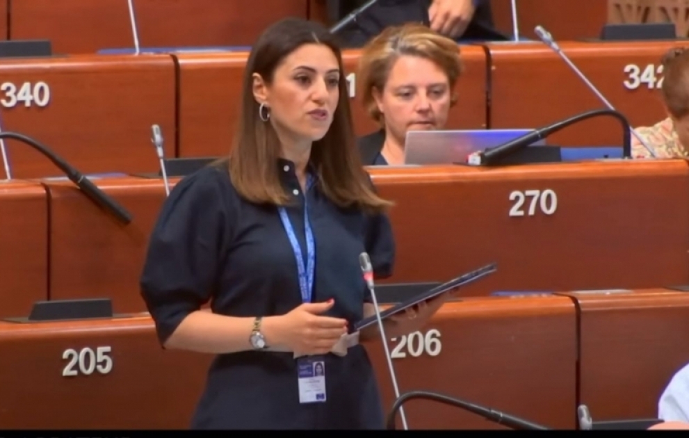 Sevinc Fətəliyeva: Azərbaycan regionda sülhü təşviq edir