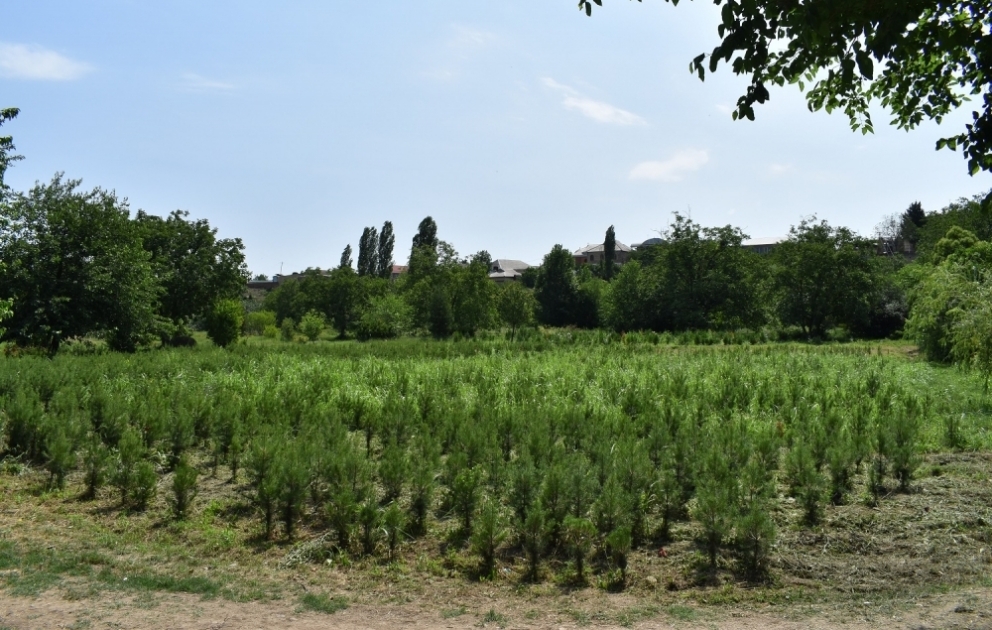 Gəncədə salınan Ekoloji Park Kompleksinin tikintisi ilin sonunadək başa çatdırılacaq