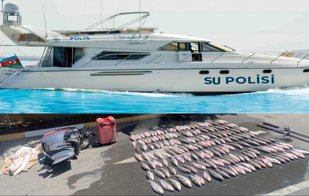 Su polisləri tərəfindən körpə balıqları qanunsuz olaraq ovlayan şəxslərə qarşı uğurlu tədbir keçirilib