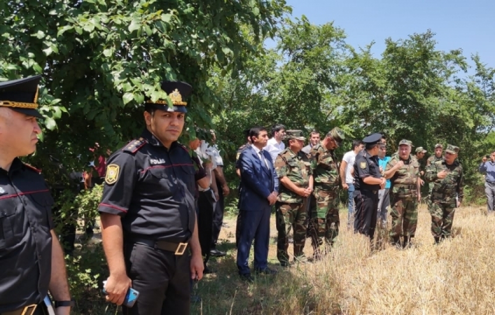 Biçilmiş taxıl sahəsinin yandırılmasına görə fermer məsuliyyət daşıyır