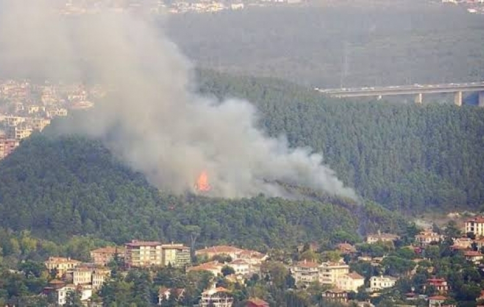 İstanbulda meşəlik ərazidə yanğın baş verib
