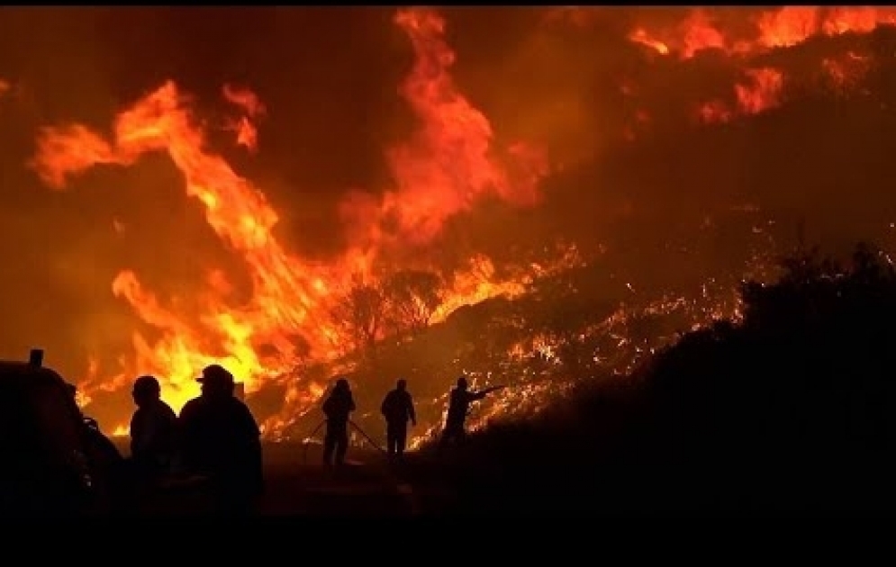 Grèce : un feu de forêt menace une grande oliveraie
